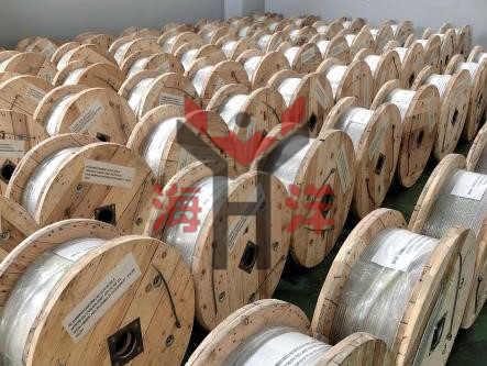 316L 不锈钢控制管线